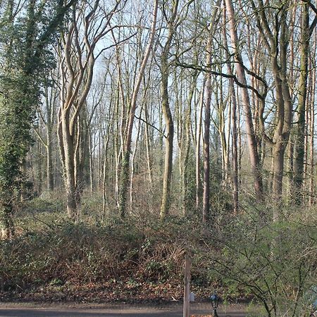 Gastenverblijf Peppelmate Doetinchem Esterno foto